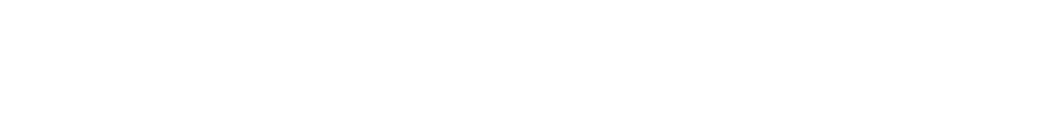 Niik Software 2.0